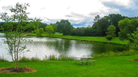 Forest Preserve View In The Summer, Lush Vegetation Around The Lakeの写真素材