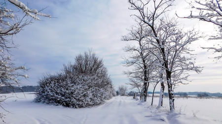 Rural Winter Scene, Local Road and Fields Covered With Snow, Mirilovac Village Eastern Serbiaの写真素材