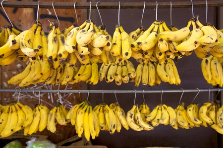 Bananas in Bunch Hanging at Marketの写真素材