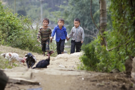 SAPA, VIETNAM - NOV 21: Unidentified Vietnamese children walking in hills of Sapa, Vietnam on November 21, 2010.のeditorial素材
