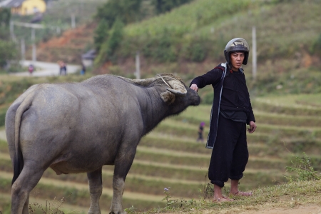 SAPA, VIETNAM - NOV 22: Unidentified man of the Black Hのeditorial素材