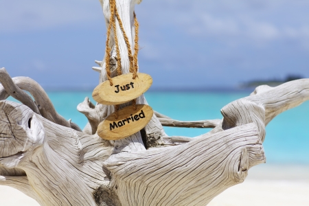 Just married sign on driftwood in front of blue oceanの写真素材
