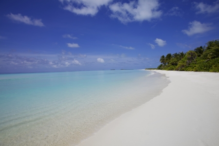 Tropical island beach white sand blue oceanの写真素材