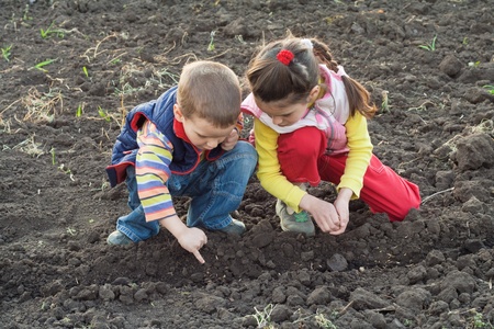 Two little children planting seeds in the field, outdoorsの写真素材