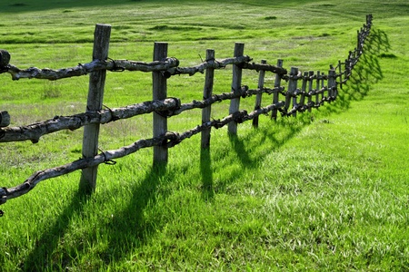 Old wooden fence on green meadow