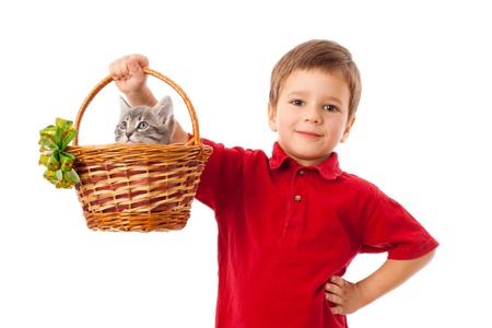 Little boy with gray kitty in basket, isolated on whiteの写真素材
