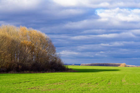 Autumn landscape with green meadow and cloudy sky