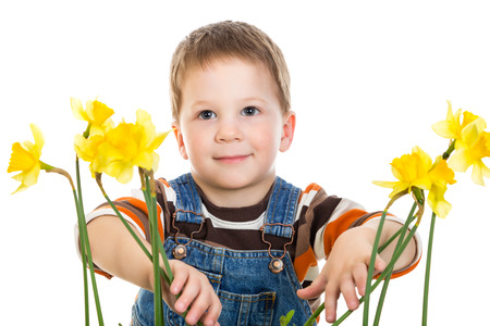 Little boy with daffodils, isolated on white