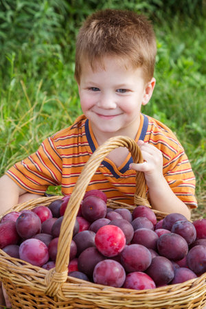 Little kid with basket of red plumの写真素材