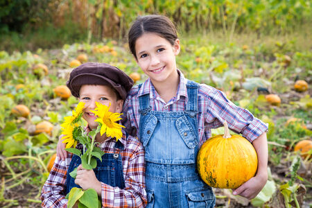 Two kids standing with pumpkin on vegetable gardenの写真素材