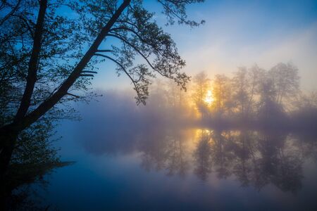 Morning fog on a forest river, tranquil scene. Vorskla river, Ukraineの写真素材