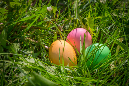 background with colorful easter eggs on lawnの写真素材