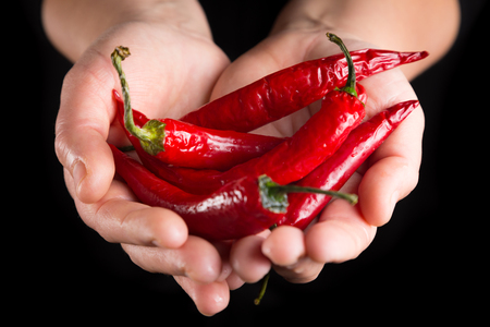 Red chilli pepper in woman handsの写真素材