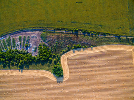 Aerial view to wheat field and sunflower field