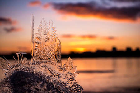 ice piece with tree-shape crystals again sunset