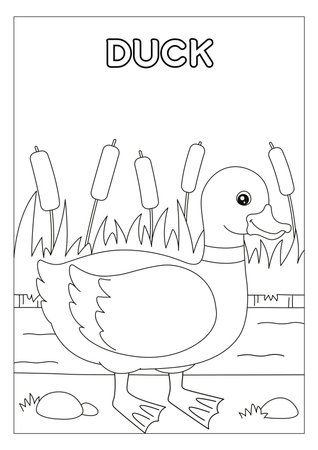 Coloring page for children. Coloring book for children. Duckの素材
