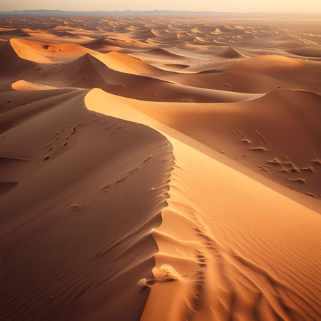 the empty quarter  and outdoor  sand  dune in oman old desert rub al khaliの素材