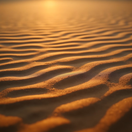sunset in the desert of morocco sand and wave patternsの素材