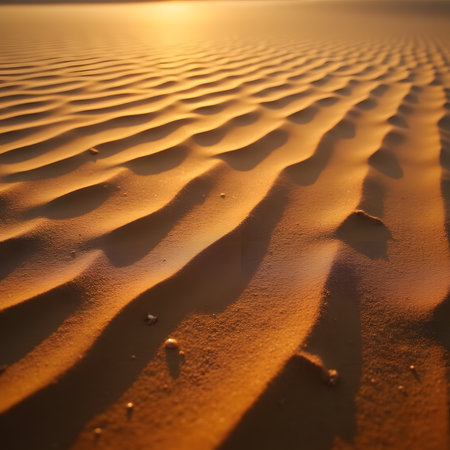 Sunset on the sand dunes of the Sahara desert in Moroccoの素材