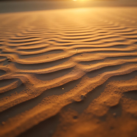 Sand ripples in the desert at sunset. Natural background and texture.の素材