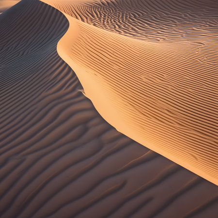 the empty quarter  and outdoor  sand  dune in oman old desert rub al khaliの素材