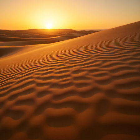 Sunset over the sand dunes in the Sahara desert in Moroccoの素材