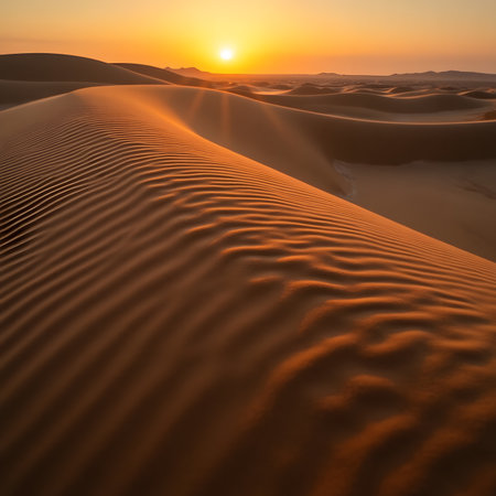 Sunset over sand dunes in the Sahara desert, Morocco.の素材