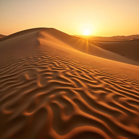 Sunset over the sand dunes in the Sahara desert, Moroccoの素材