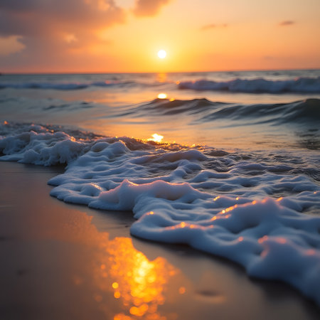 Beautiful sunset on the beach. Nature composition. Soft focus.の素材