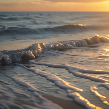Soft wave of the sea on a sandy beach at sunset. Soft focus.の素材