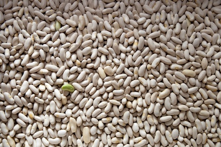 green beans, white beans in the background