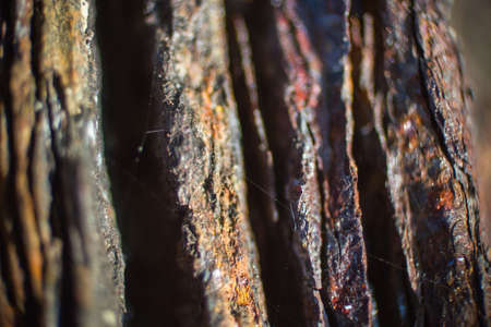 Rusty texture 