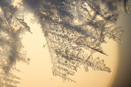 Ice crystal.の写真素材