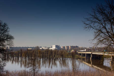 Trees reflection on water, flooded during the spring flood 