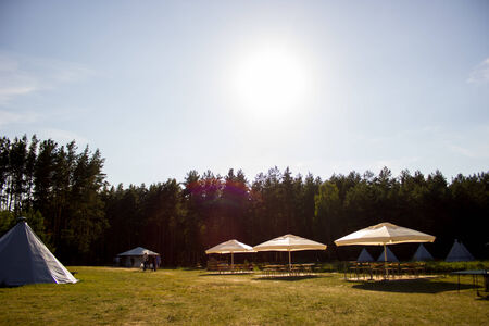 Tents in the tourist camp in a forest glade.の写真素材