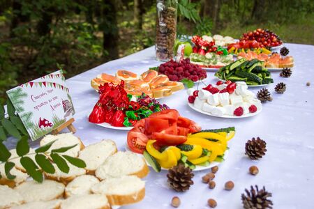 Table in the forest decorated to the birthdayの写真素材