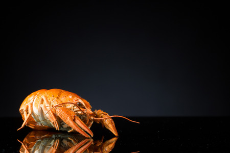 Delicious roasted red cancer on the table.の写真素材