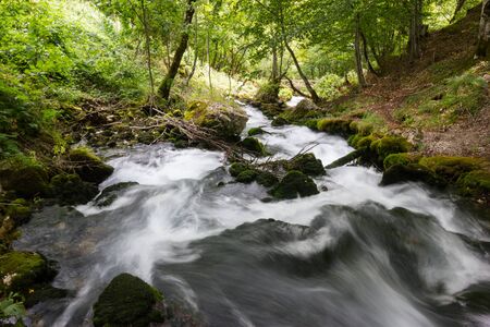 Mountain river and mossy stones In the forest.