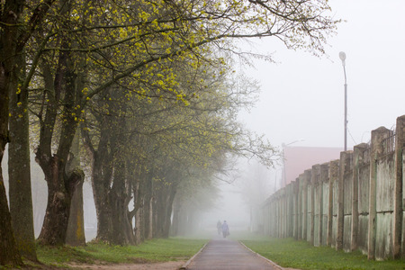 Alley covered with fog with trees on one side and the wall on the other side.の写真素材