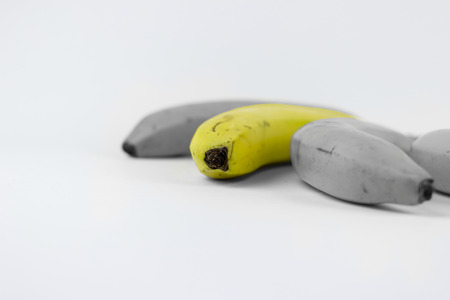 Three bananas on a white background, middle one desaturatedの写真素材