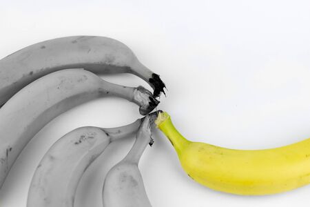 Five bananas on a white background, with one of them desaturatedの写真素材