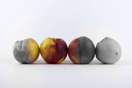 Four peaches on a white background, one coloured and the rest desaturatedの写真素材