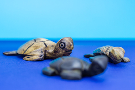 Wooden turtle figurines on blue backgroundの写真素材