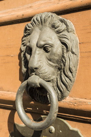 Doors with door knocker in the shape of lion headの写真素材