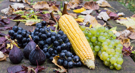 fruits of the autumnの写真素材