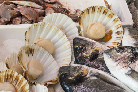 Sea bream and sea scallops on sale at the local marketの写真素材