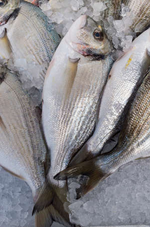 Sea Bream for sale at the local market
