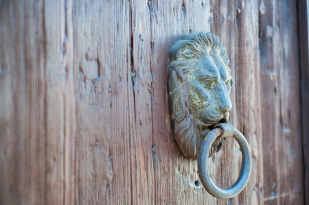 Doors with door knocker in the shape of lion head