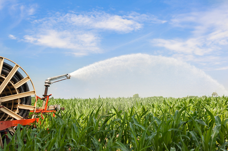 Agricultural equipment. Equipment pumping water on field of corn.Water sprinklerの写真素材