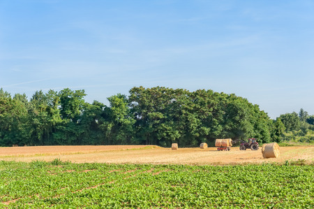 Tractor and trailer with hay bales in rural landscapeの写真素材